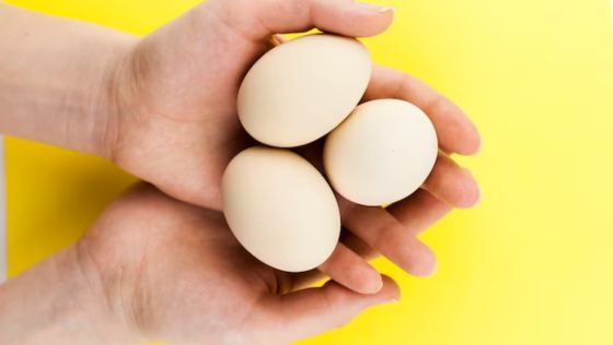 Large Organic Egg Nutrition Facts