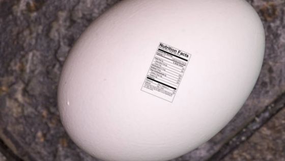 Large Organic Egg Nutrition Facts