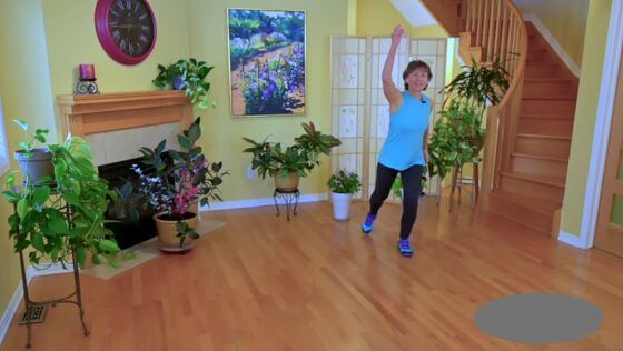 Indoor Exercises for Seniors Aerobics