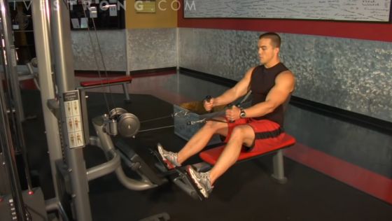 Indoor Exercises for Seniors Seated Rowing